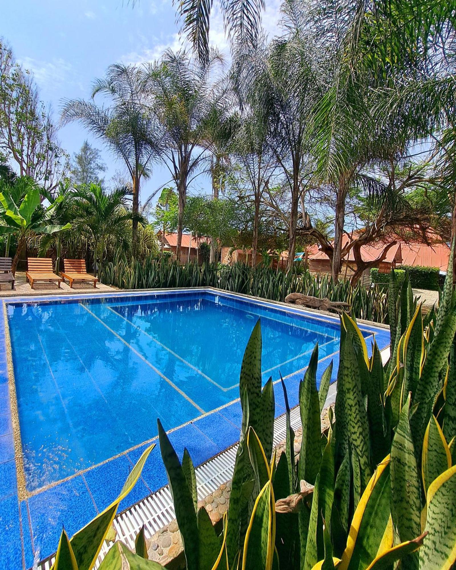 Cabanas La Tortuga 阿亚姆佩 外观 照片
